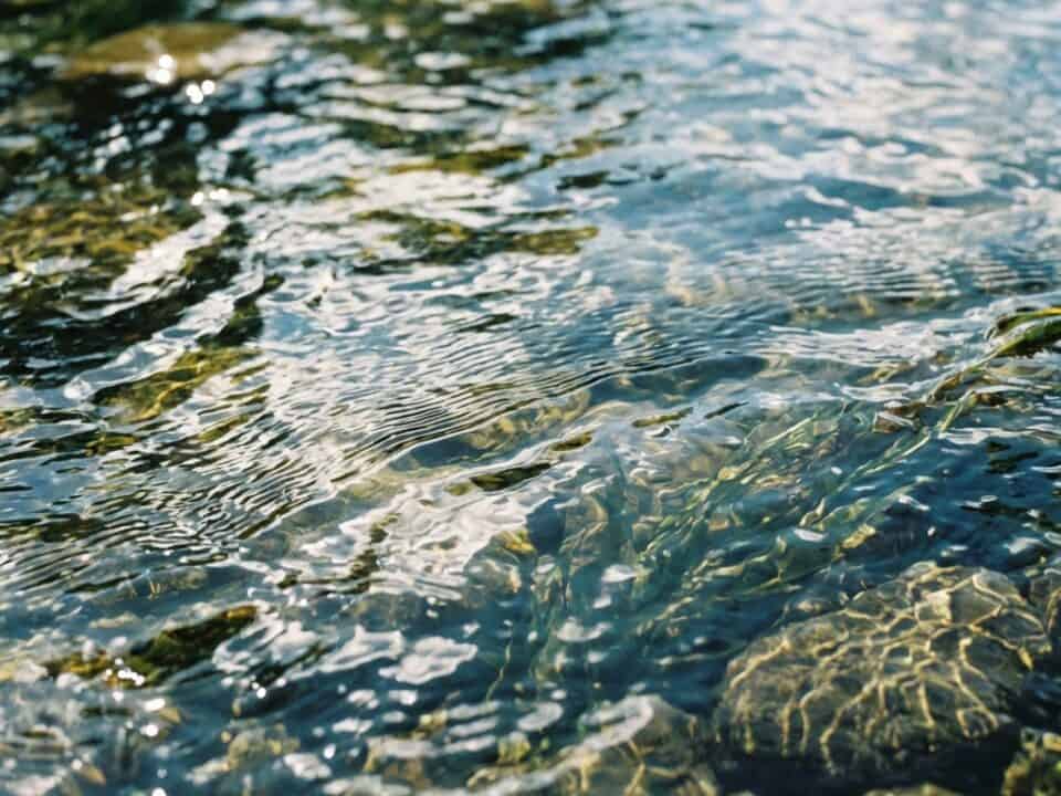 water quality sensor selection, monitoring applications