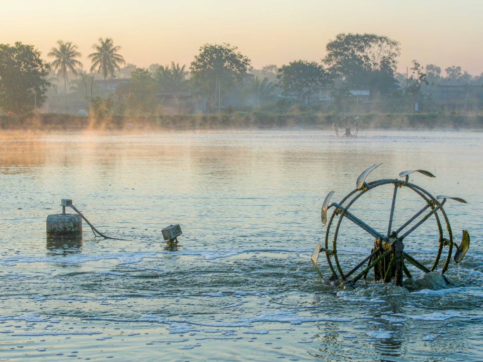 Aquaculture pond at dawn with a paddlewheel aerator and a floating water quality monitoring buoy