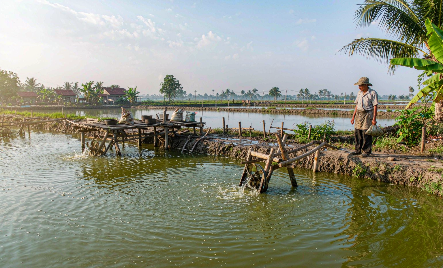 Aquaculture water quality monitoring at a shrimp farming pond with paddlewheel aerators